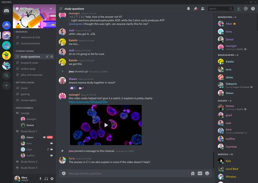 How to Use Discord as an Influencer (2023)